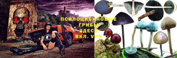 эйфоретик Липки