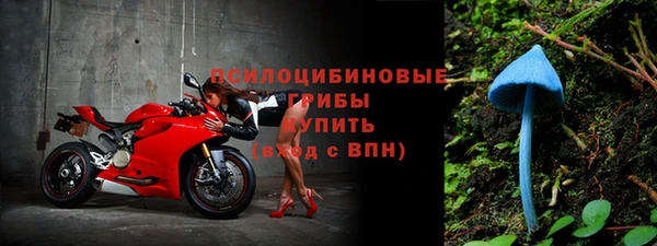 эйфоретик Липки