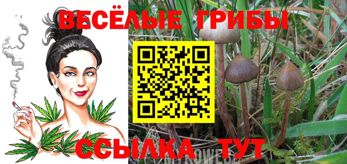 Златоуст  Псилоцибиновые грибы мицелий  Галлюциногенные грибы Cubensis  Вход с VPN 