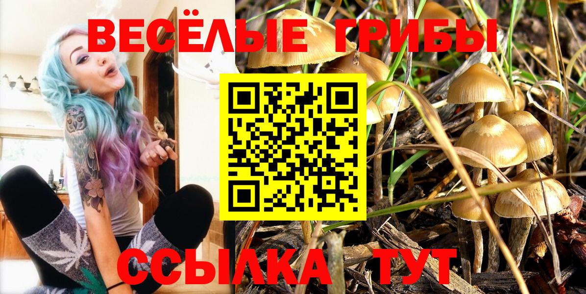 Галлюциногенные грибы Psilocybe Златоуст