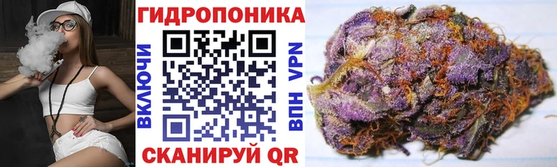 Купить  Златоуст  МАРИХУАНА ГИДРОПОН 